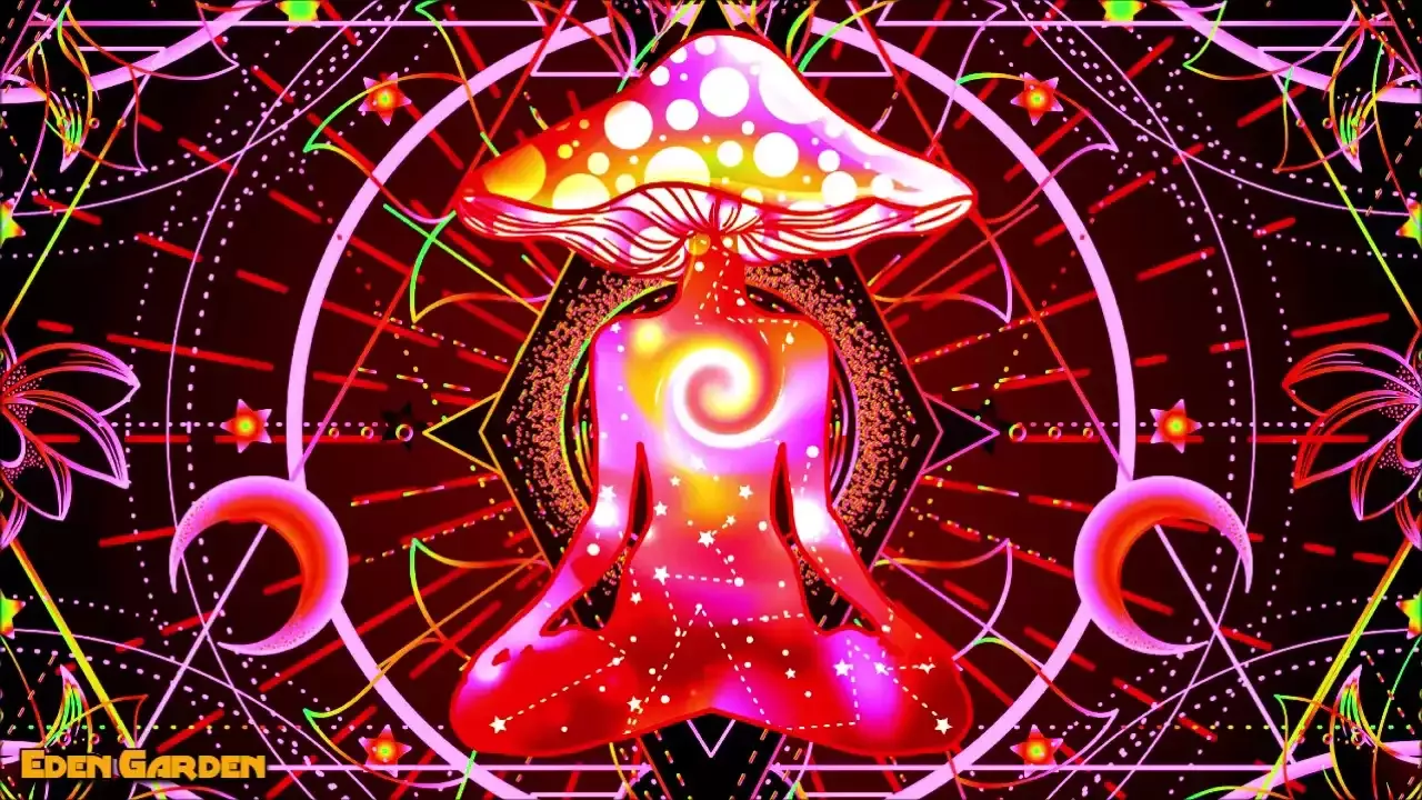 40 Songs to Enhance Your Psychedelic Trip